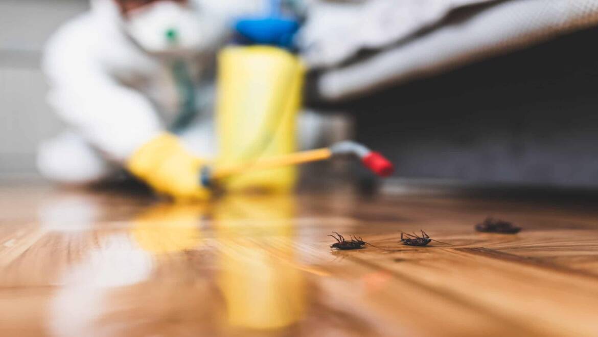 Fast Pest  Removal